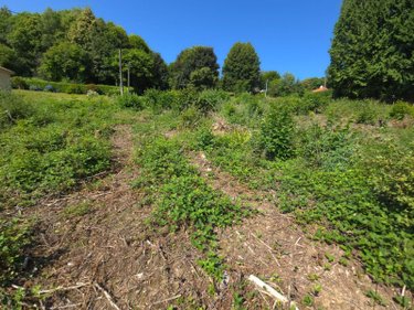 Terrain a batir a vendre Ambazac 87240 Haute-Vienne 1242 m2  32500 euros