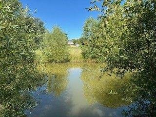 Maison a vendre Couddes 41700 Loir-et-Cher 92 m2 4 pièces 140100 euros