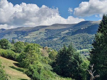 Maison a vendre Thiézac 15800 Cantal 228 m2  336000 euros