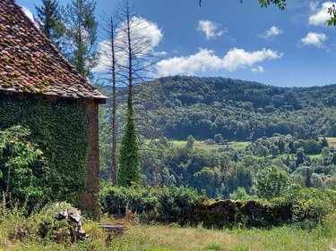 Maison a vendre Thiézac 15800 Cantal 228 m2  336000 euros