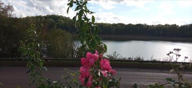 Location maison Changey 52360 Haute-Marne 103 m2 4 pièces 975 euros
