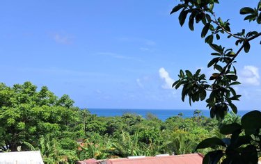 propriete a vendre Deshaies 97126 Guadeloupe 465 m2  940500 euros