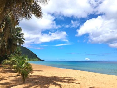 propriete a vendre Deshaies 97126 Guadeloupe 465 m2  940500 euros