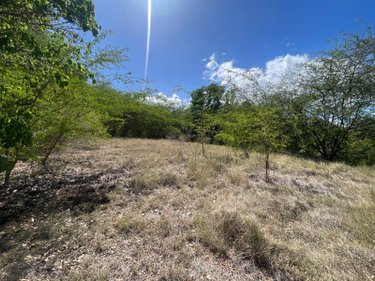 Terrain a batir a vendre Le Gosier 97190 Guadeloupe 15000 m2  239000 euros