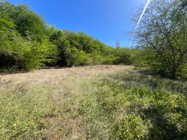 Terrain a batir a vendre Le Gosier 97190 Guadeloupe 15000 m2  239000 euros