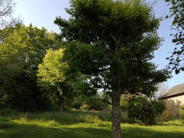 Maison a vendre Bersac-sur-Rivalier 87370 Haute-Vienne 171 m2 6 pièces 137800 euros