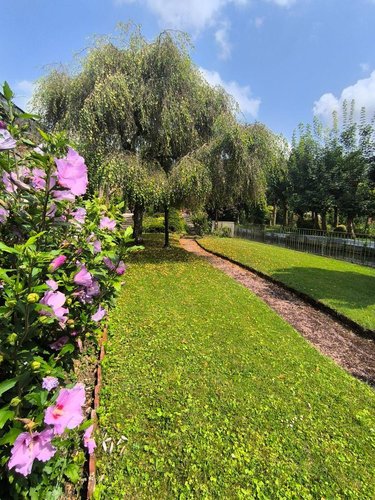 Maison a vendre Marle 02250 Aisne 281 m2 7 pièces 252000 euros