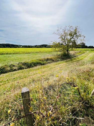 Maison a vendre Nouans-les-Fontaines 37460 Indre-et-Loire 125 m2 5 pièces 170000 euros