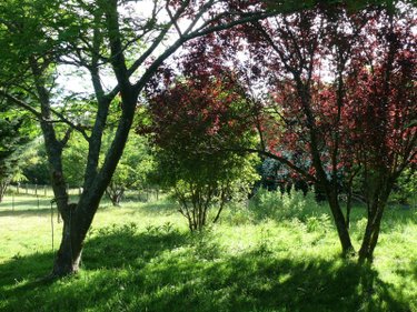 Maison a vendre Languenan 22130 Côtes-d'Armor 180 m2 8 pièces 399400 euros