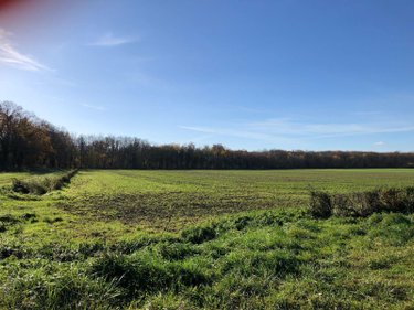 Terrains de loisirs bois etangs a vendre Farges-lès-Chalon 71150 Saône-et-Loire 20860 m2  22500 euros