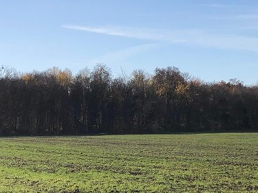 Terrains de loisirs bois etangs a vendre Farges-lès-Chalon 71150 Saône-et-Loire 20860 m2  22500 euros