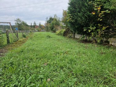 Maison a vendre Bayel 10310 Aube 92 m2 3 pièces 70000 euros