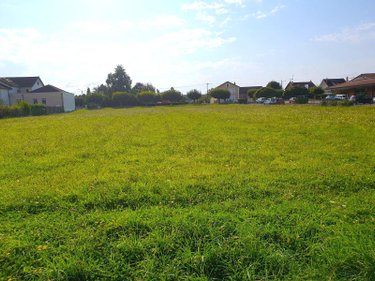 Terrain a batir a vendre Frignicourt 51300 Marne 4800 m2  320000 euros