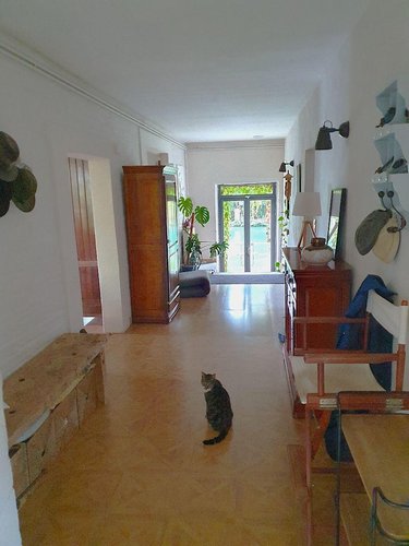 propriete a vendre Soulaines-Dhuys 10200 Aube 265 m2  310000 euros