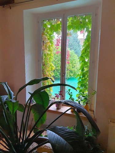 propriete a vendre Soulaines-Dhuys 10200 Aube 265 m2  310000 euros