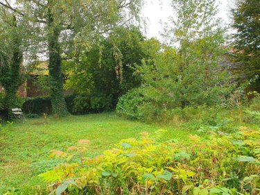 propriete a vendre Soulaines-Dhuys 10200 Aube 265 m2  310000 euros