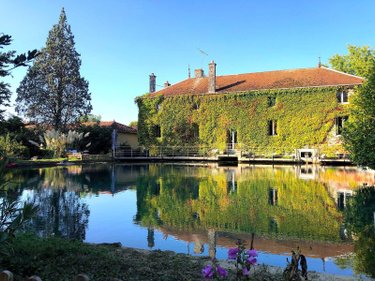 propriete a vendre Soulaines-Dhuys 10200 Aube 265 m2  310000 euros