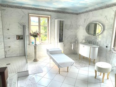 Maison a vendre Cluny 71250 Saône-et-Loire 420 m2 11 pièces 950000 euros