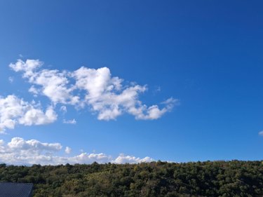 Terrain a batir a vendre Orbeil 63500 Puy-de-Dôme 971 m2  87000 euros