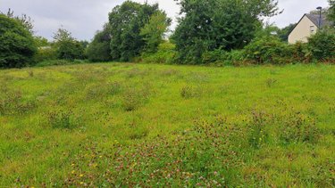 Terrain a batir a vendre Plouégat-Guérand 29620 Finistère 4700 m2  74000 euros