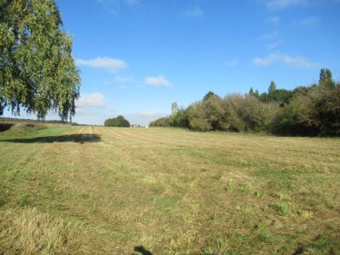 Terrain a batir a vendre Messon 10190 Aube  68840 euros