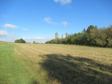Terrain a batir a vendre Messon 10190 Aube  68840 euros