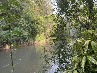 Terrains de loisirs bois etangs a vendre Vernou-sur-Brenne 37210 Indre-et-Loire 1335 m2  18900 euros