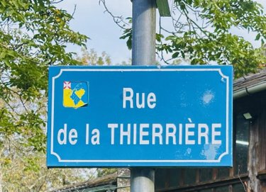 Terrains de loisirs bois etangs a vendre Vernou-sur-Brenne 37210 Indre-et-Loire 1335 m2  18900 euros