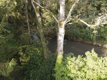 Terrains de loisirs bois etangs a vendre Vernou-sur-Brenne 37210 Indre-et-Loire 1335 m2  18900 euros