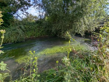 Maison a vendre Ligny-sur-Canche 62270 Pas-de-Calais 158 m2 7 pièces 209000 euros