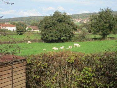 Maison a vendre Joncy 71460 Saône-et-Loire 186 m2 6 pièces 230000 euros
