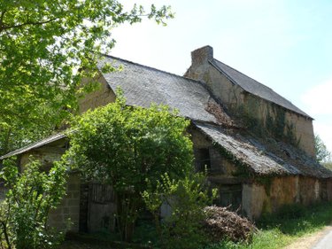 Maison a vendre Pleugueneuc 35720 Ille-et-Vilaine 50 m2  48840 euros