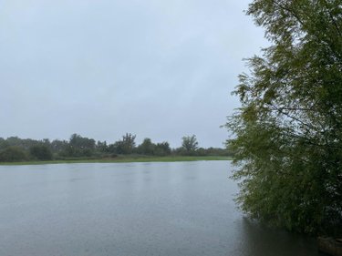 Terrains de loisirs bois etangs a vendre Saint-Michel-en-Brenne 36290 Indre 185567 m2  319000 euros