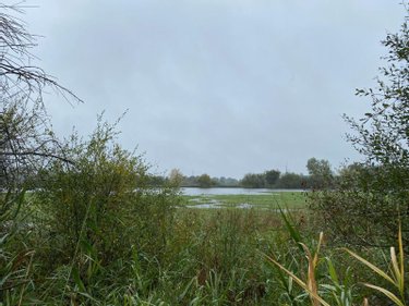 Terrains de loisirs bois etangs a vendre Saint-Michel-en-Brenne 36290 Indre 185567 m2  319000 euros