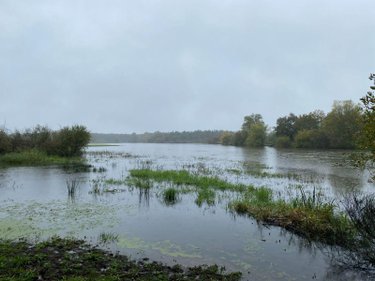 Terrains de loisirs bois etangs a vendre Saint-Michel-en-Brenne 36290 Indre 185567 m2  319000 euros