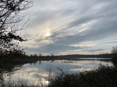Terrains de loisirs bois etangs a vendre Saint-Michel-en-Brenne 36290 Indre 185567 m2  319000 euros