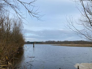 Terrains de loisirs bois etangs a vendre Saint-Michel-en-Brenne 36290 Indre 185567 m2  319000 euros