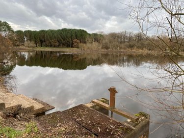 Terrains de loisirs bois etangs a vendre Saint-Michel-en-Brenne 36290 Indre 185567 m2  319000 euros