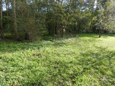 Maison a vendre Marsat 63200 Puy-de-Dôme 110 m2 5 pièces 325000 euros
