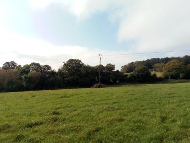 Terrains de loisirs bois etangs a vendre Villaines-la-Juhel 53700 Mayenne 29067 m2  26500 euros