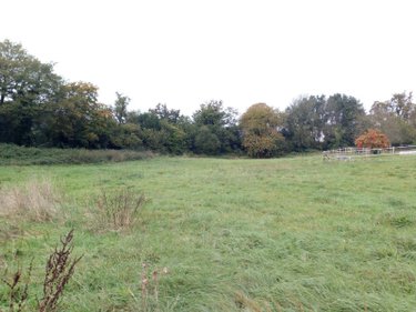 Terrains de loisirs bois etangs a vendre Villaines-la-Juhel 53700 Mayenne 29067 m2  26500 euros