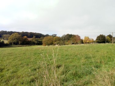 Terrains de loisirs bois etangs a vendre Villaines-la-Juhel 53700 Mayenne 29067 m2  21200 euros