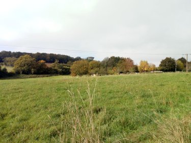 Terrains de loisirs bois etangs a vendre Villaines-la-Juhel 53700 Mayenne 29067 m2  26500 euros