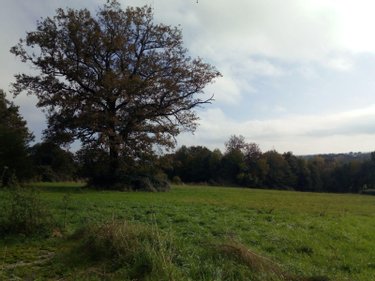 Terrains de loisirs bois etangs a vendre Villaines-la-Juhel 53700 Mayenne 29067 m2  26500 euros