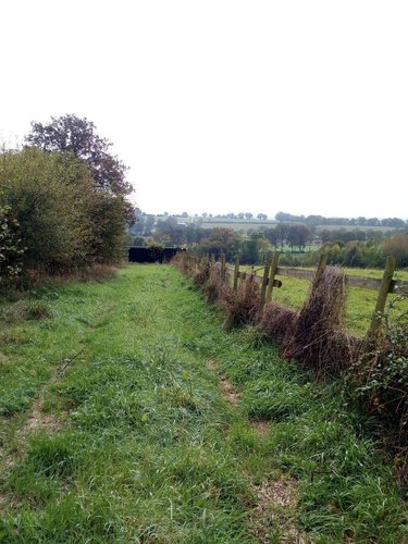 Terrains de loisirs bois etangs a vendre Villaines-la-Juhel 53700 Mayenne 29067 m2  26500 euros