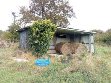 Terrains de loisirs bois etangs a vendre Villaines-la-Juhel 53700 Mayenne 29067 m2  21200 euros