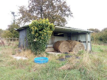 Terrains de loisirs bois etangs a vendre Villaines-la-Juhel 53700 Mayenne 29067 m2  26500 euros