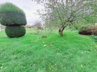 Maison a vendre Forges 17290 Charente-Maritime 145 m2 6 pièces 119968 euros