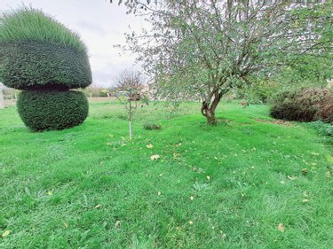 Maison a vendre Forges 17290 Charente-Maritime 145 m2 6 pièces 139788 euros