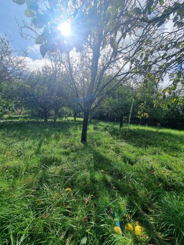 Maison a vendre Neuvy-Saint-Sépulchre 36230 Indre 166 m2 7 pièces 193000 euros